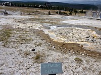 Yellowstone Old faithfull Anemon Geyser (1).JPG